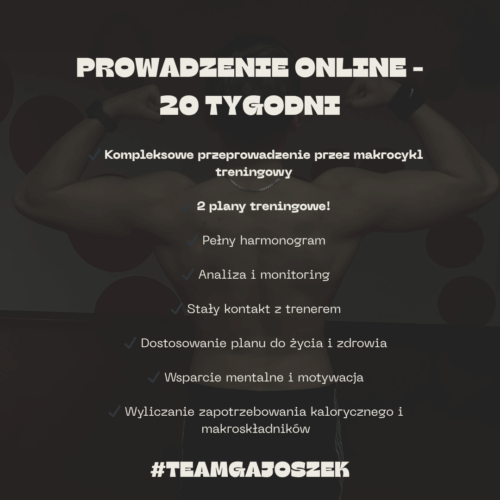 prowadzenie-online-20-tyg